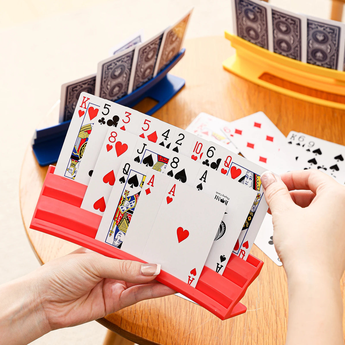 Plastic Card Storage Case