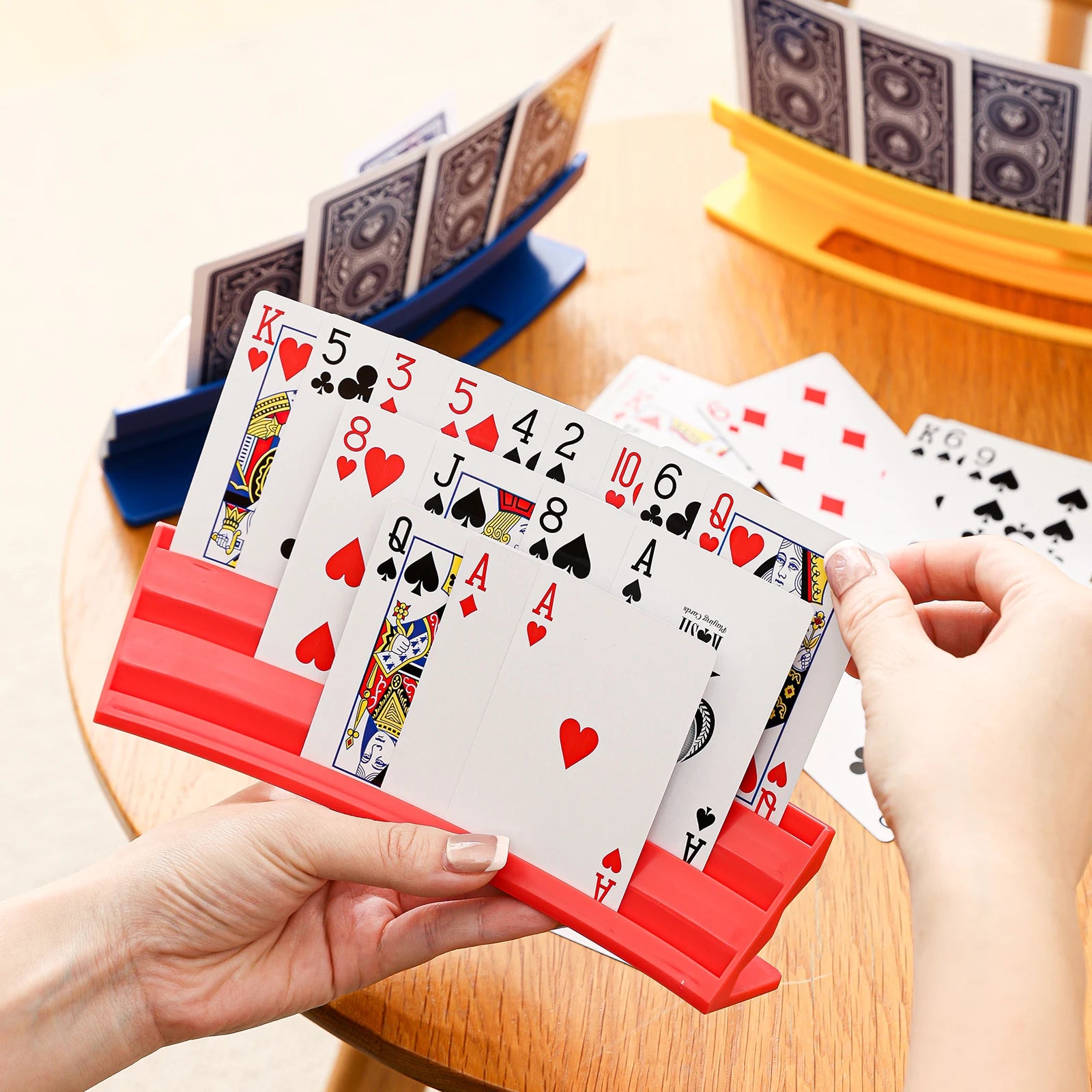 Plastic Card Storage Case